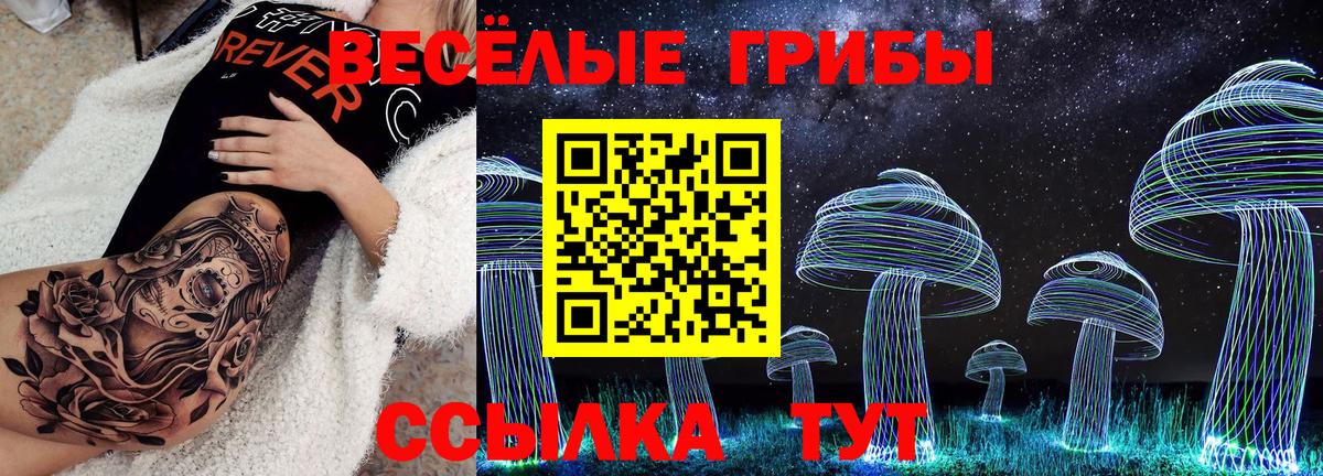 Минусинск  Галлюциногенные грибы мухоморы  Вход с VPN 