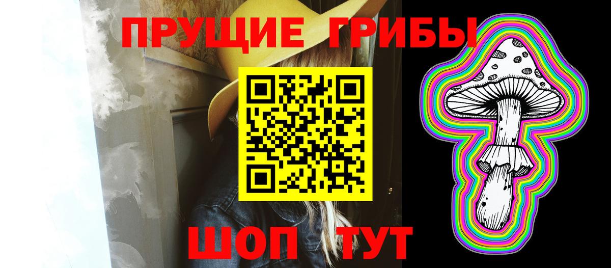 Псилоцибиновые грибы мицелий Минусинск